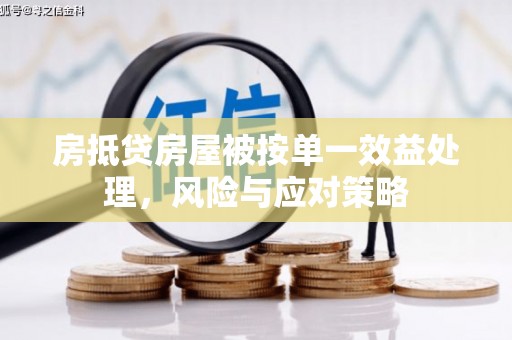 高树房抵贷房屋被按单一效益处理，风险与应对策略