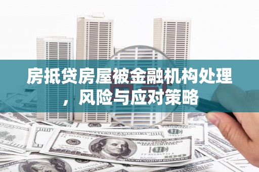 雨山房抵贷房屋被金融机构处理，风险与应对策略