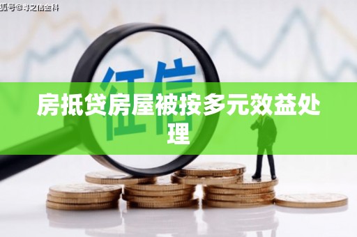 襄城房抵贷房屋被按多元效益处理